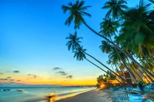 Mũi Né - Nơi trải nghiệm những hoạt động thú vị 2023 29 bai bien dep nhat phan thiet chill 467 Vi Vu Bình Thuận