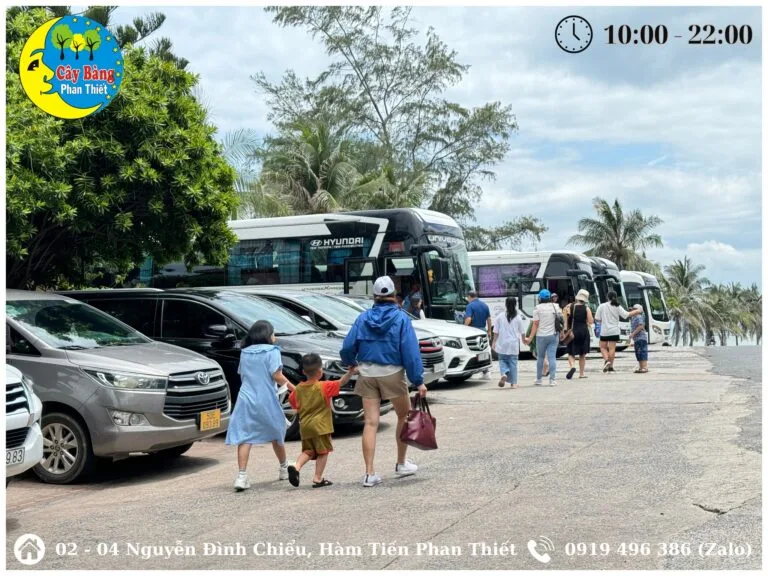 Nhà Hàng Cây Bàng Mũi Né Có Gì Đặc Sắc? Khám Phá Trải Nghiệm Ẩm Thực Tuyệt Vời 5 467069105 1091354446323081 6951350730962048713 n Vi Vu Bình Thuận