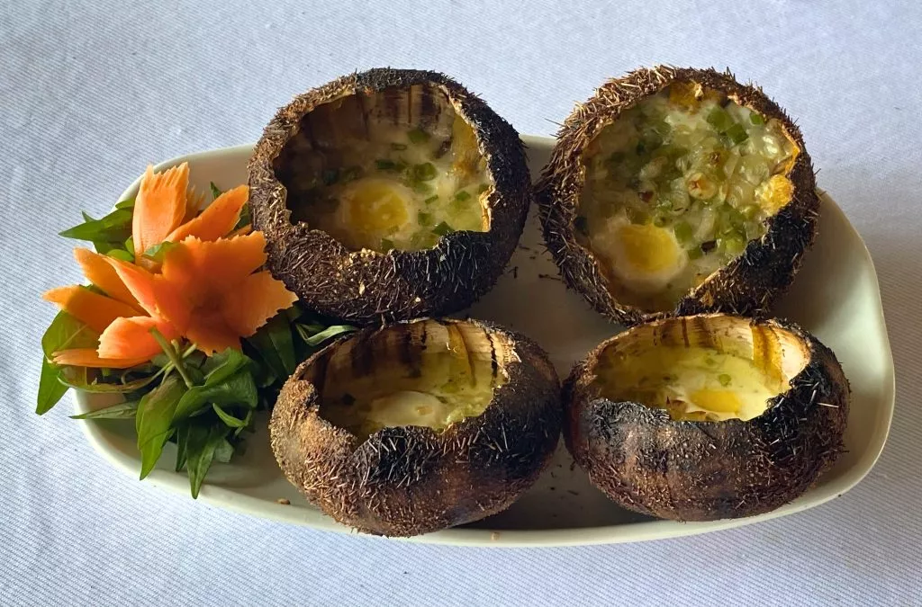 nhum bien nuoc mo hanh Vi Vu Bình Thuận