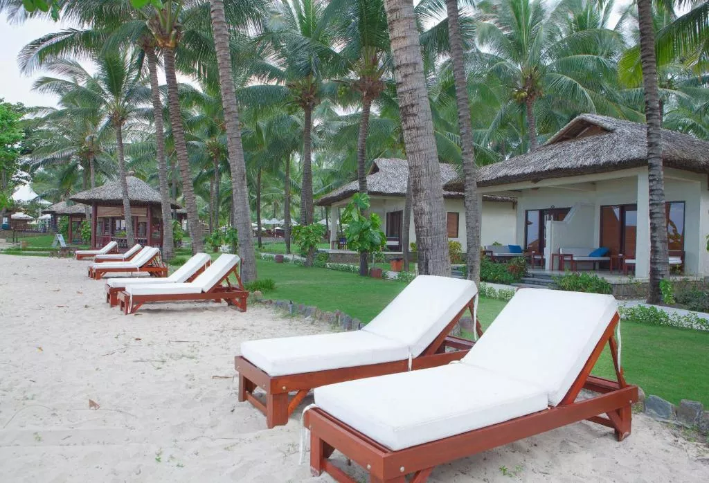 24955593 Vi Vu Bình Thuận