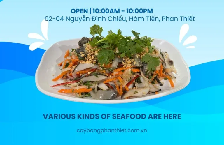 492302140 1224537269671464 2167662824310290435 n e1748238904521 Vi Vu Bình Thuận