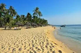 download Vi Vu Bình Thuận