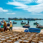 Kinh nghiệm du lịch Mũi Né tự túc