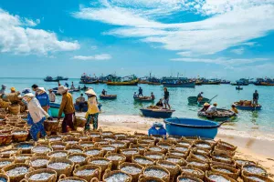 Kinh nghiệm du lịch Mũi Né tự túc