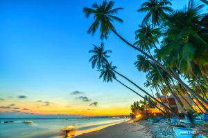 bai bien dep nhat phan thiet chill 467 Vi Vu Bình Thuận