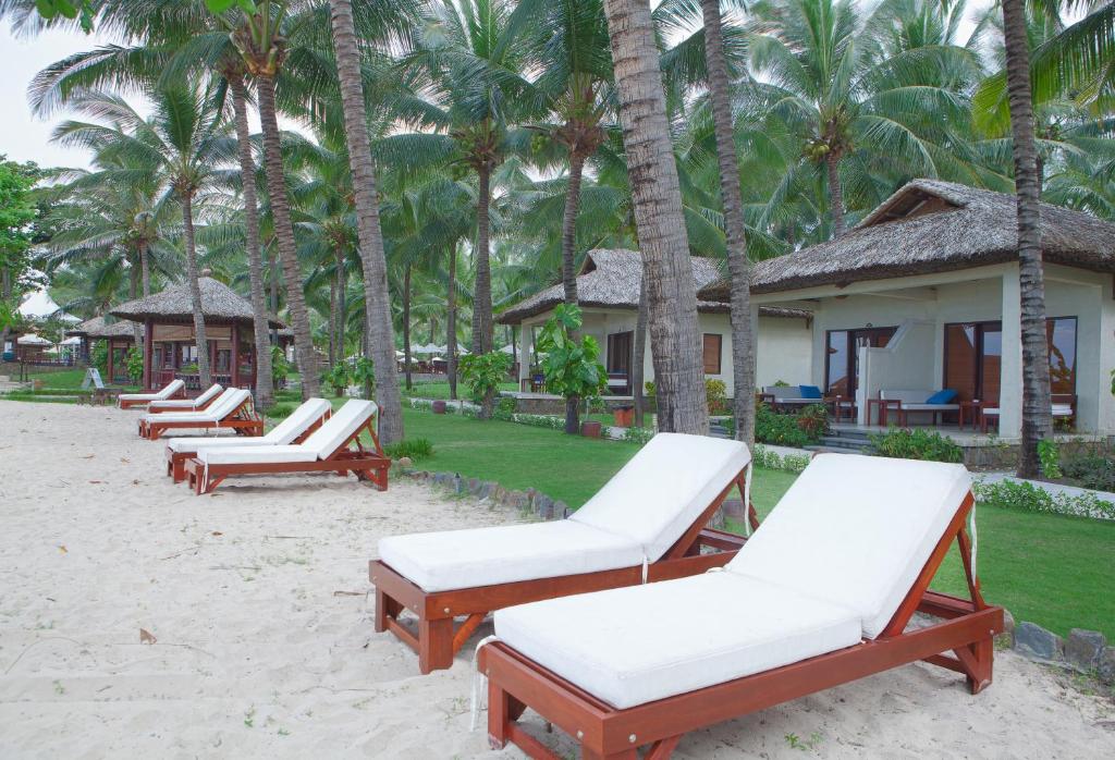 24955593 Vi Vu Bình Thuận