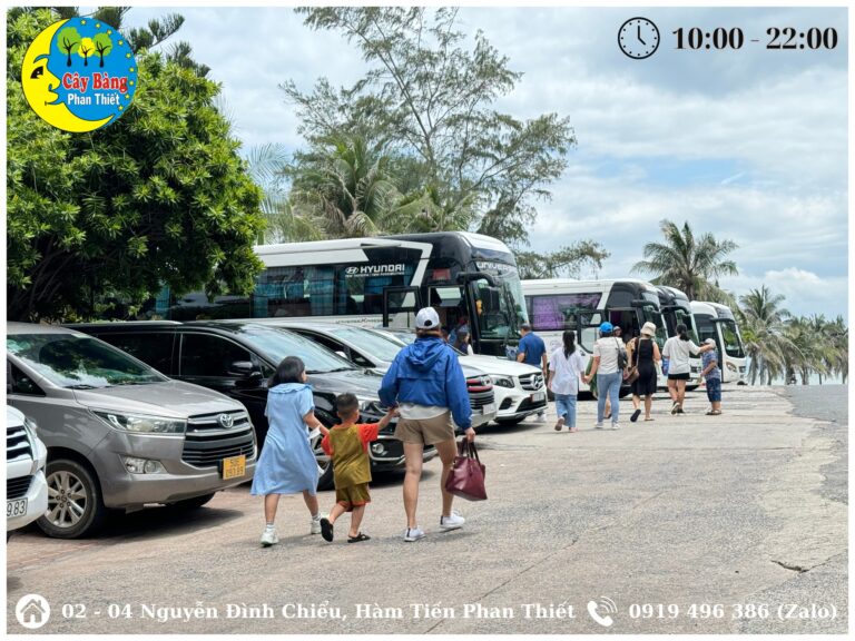 Nhà Hàng Cây Bàng Mũi Né Có Gì Đặc Sắc? Khám Phá Trải Nghiệm Ẩm Thực Tuyệt Vời 12 467069105 1091354446323081 6951350730962048713 n Vi Vu Bình Thuận