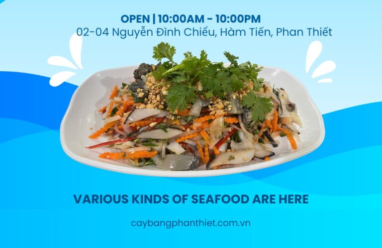 Khám Phá Ẩm Thực - Ốc Vôi Biển Tại Nhà Hàng Cây Bàng Phan Thiết 6 492302140 1224537269671464 2167662824310290435 n e1748238904521 Vi Vu Bình Thuận